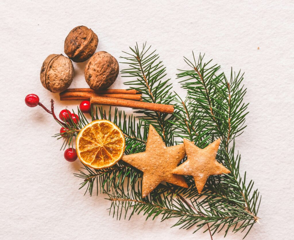 sustainable Christmas | DIY Christmas decorations | biodegradable ornaments