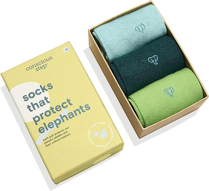 10 Best Eco-Friendly Corporate Gifts For Sustainable Holiday