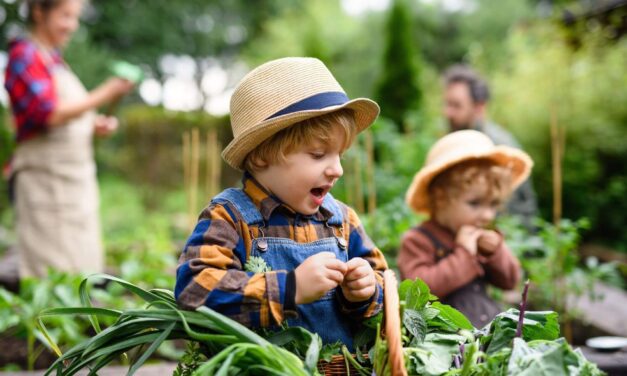 Eco Family: Practical Tips for Raising Eco-Conscious Kids