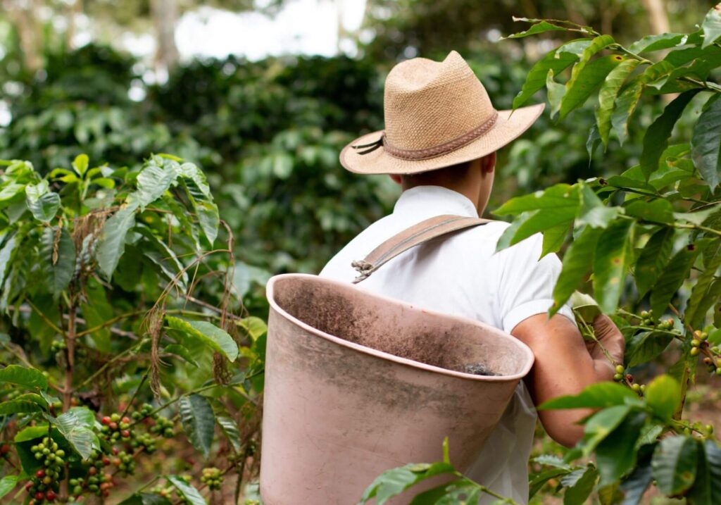 Eco-Friendly Brews: Shop Sustainable Coffee