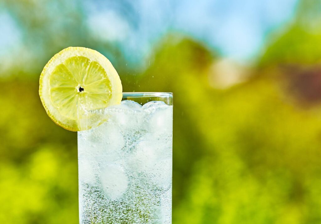 BEST SPARKLING WATER MAKERS