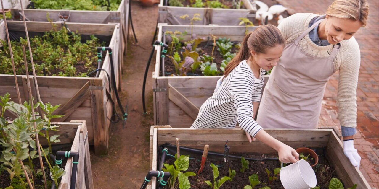 Exploring 10 Practices of Organic Gardening