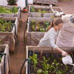 Exploring 10 Practices of Organic Gardening