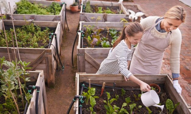 Exploring 10 Practices of Organic Gardening