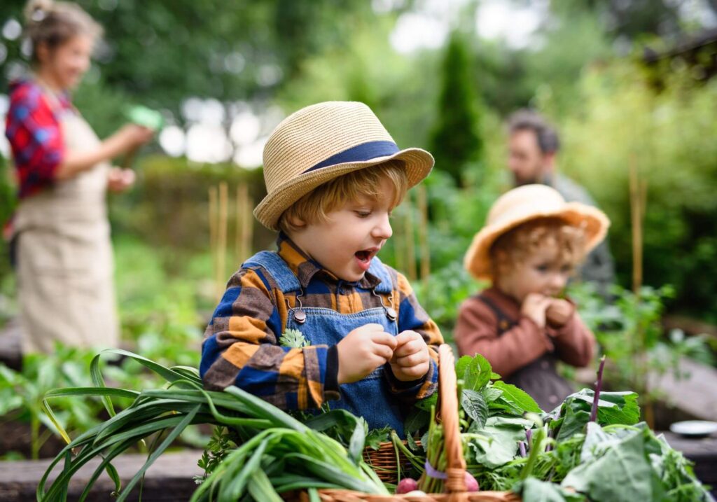 Organic Gardening