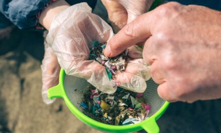Microplastics Exposed: 10 Practical Tips for a Greener Life