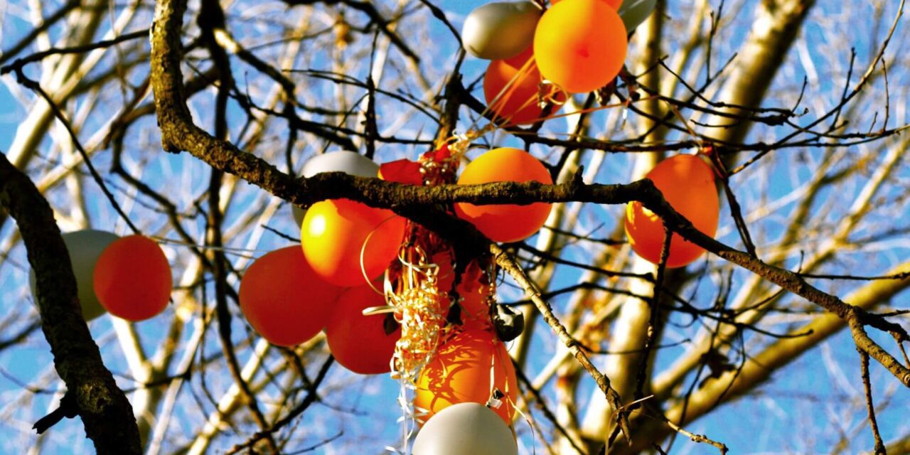 Up, Up, and Away? The Environmental Impact of Party Balloons