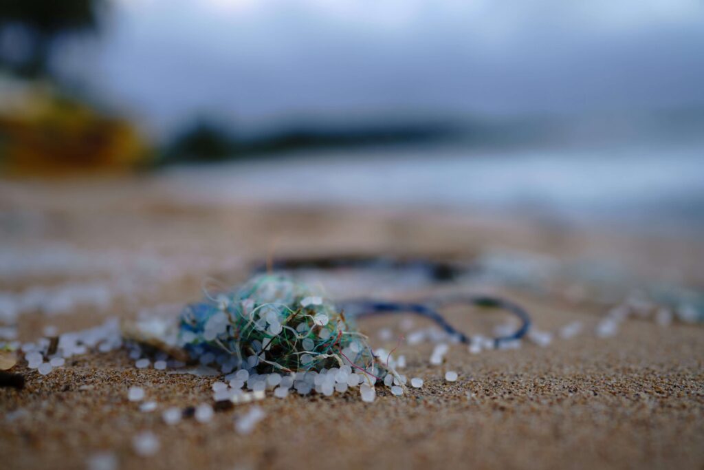 Microplastics Exposed: 10 Practical Tips for a Greener Life