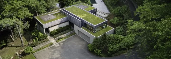 15 Best Sustainable Living Blogs That'll Change You (2025)